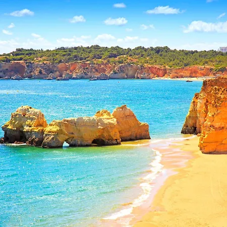Homes Da Rocha Cozy 50 M Away From The Ocean Appartamento *
